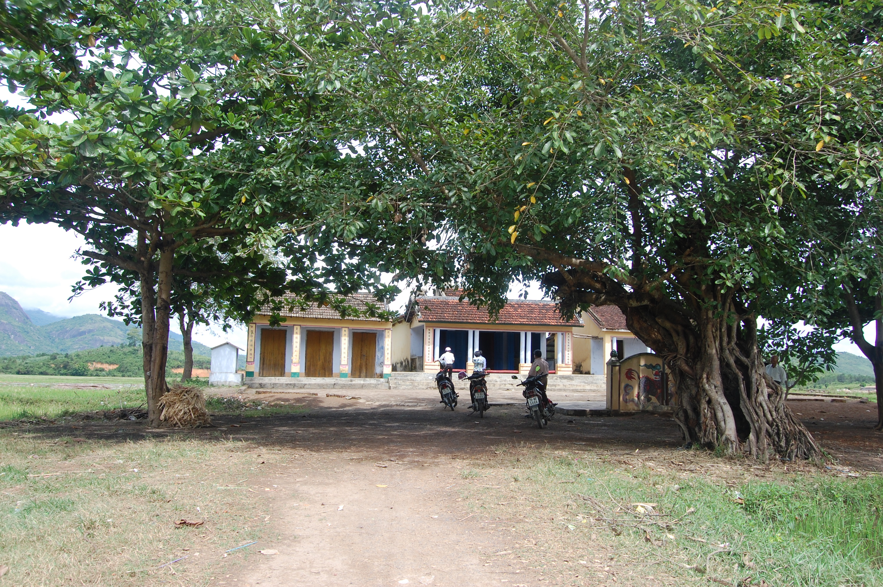 ĐÌNH ĐẢNH THẠNH